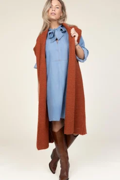 Denim Dress With Bow Titus | Blue... | Co'Couture | Little Soho