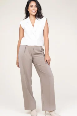 Pleated Trousers Fique | Taupe... | Second Female | Little Soho